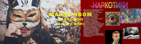 стафф Алексин