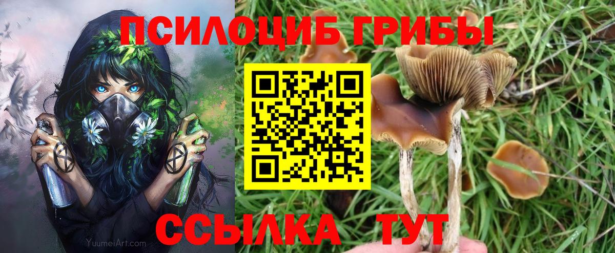 Галлюциногенные грибы GOLDEN TEACHER Можга