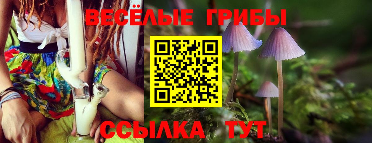 Можга  где продают наркотики  Вход с VPN  Галлюциногенные грибы Psilocybine cubensis 